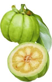 fruit